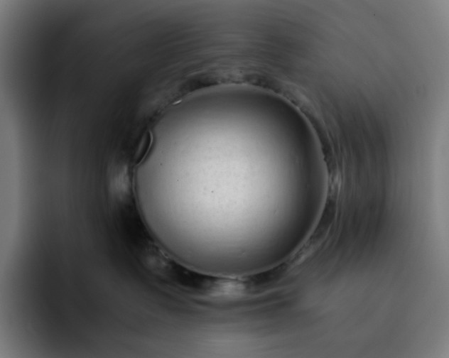 X0000093160335200710101158