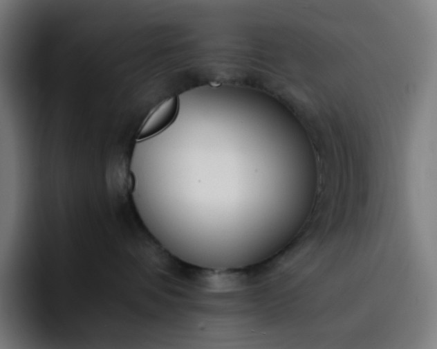X0000093160336200710101158