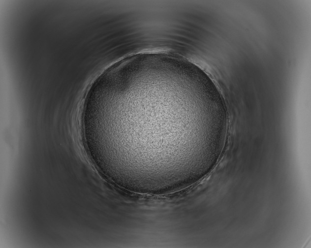 X0000093160337200710101158