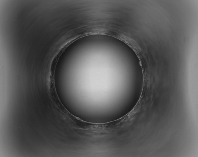 X0000093160338200710101158