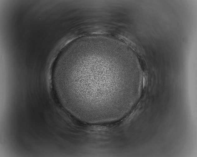 X0000093160339200710101158