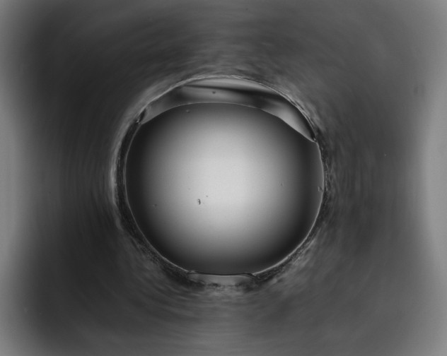 X0000093160340200710101158
