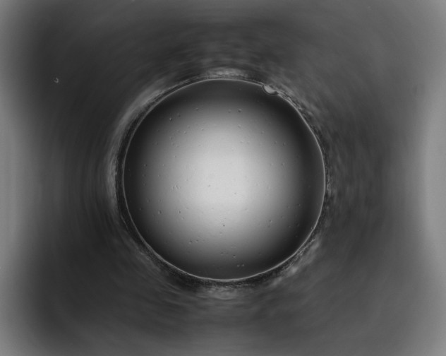 X0000093160341200710101158