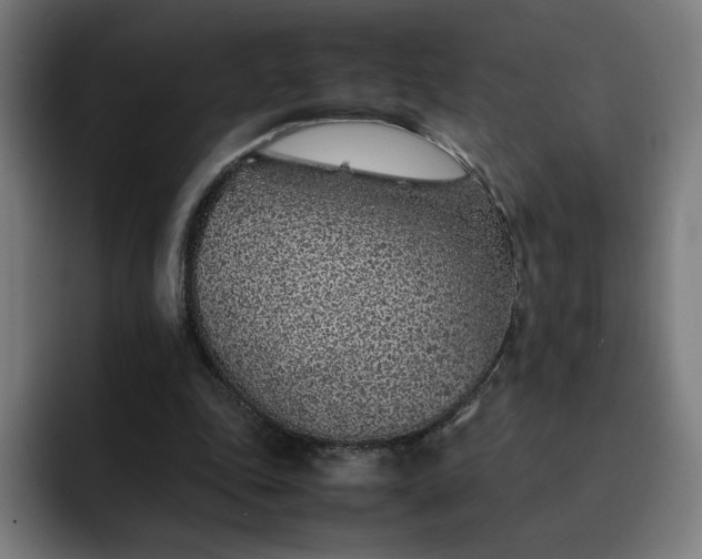 X0000093160343200710101158