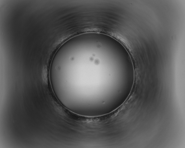 X0000093160345200710101158