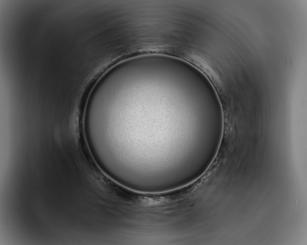 X0000093160346200710101158