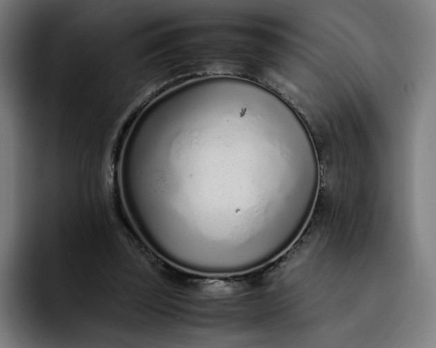 X0000093160347200710101158