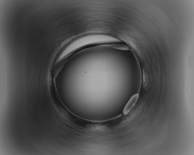 X0000093160348200710101158