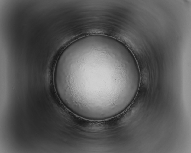 X0000093160351200710101158