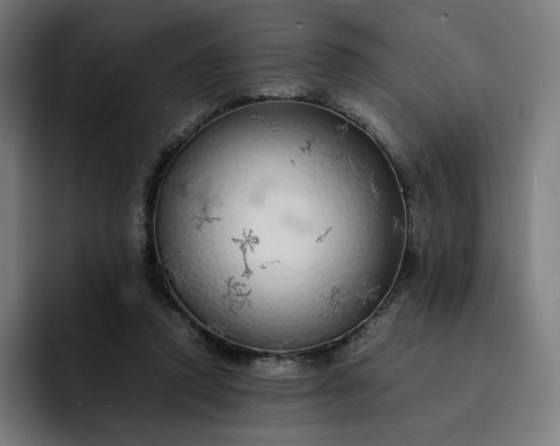 X0000093160354200710101158