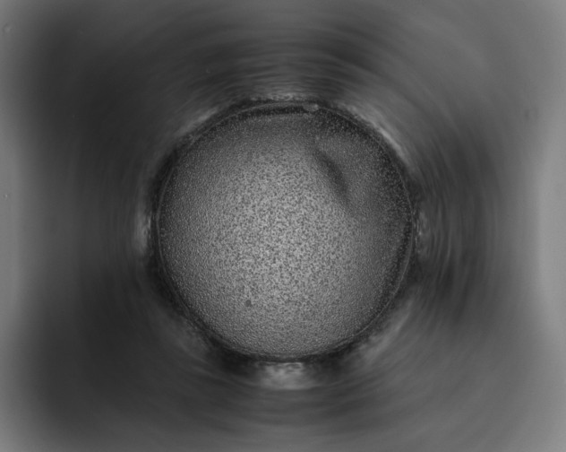 X0000093160355200710101158