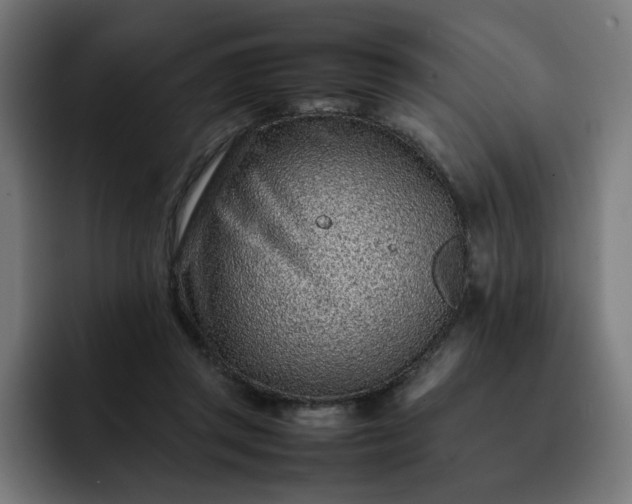 X0000093160357200710101158