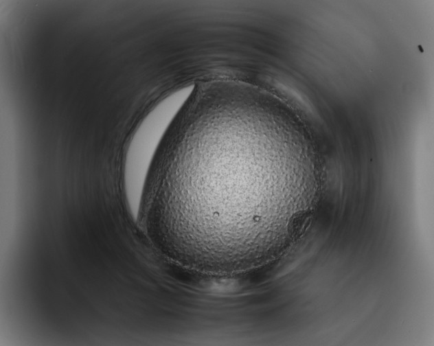 X0000093160361200710101158