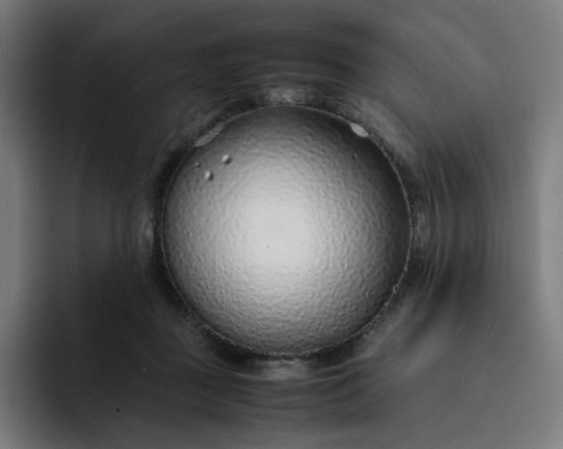 X0000093160363200710101158