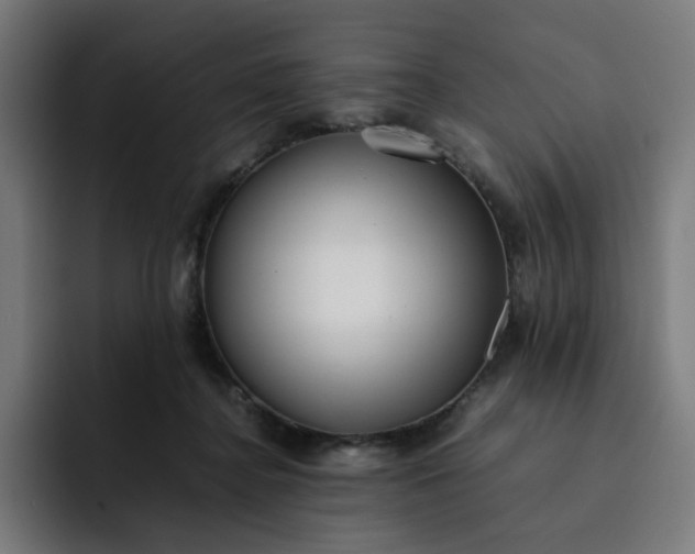X0000093160364200710101158