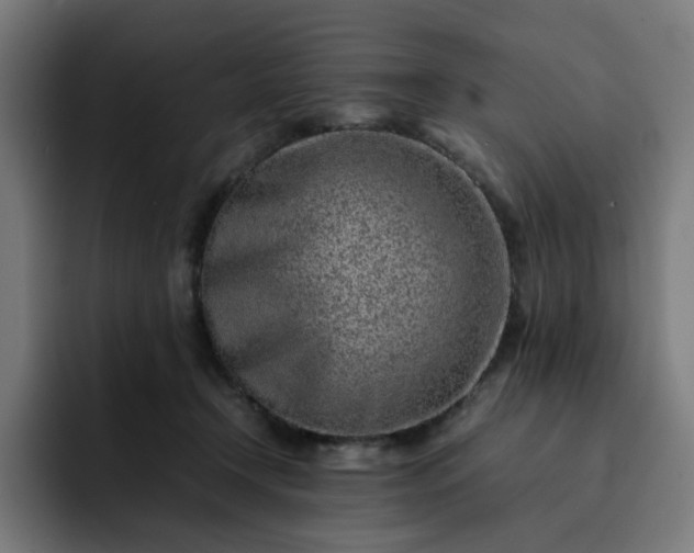 X0000093160366200710101158