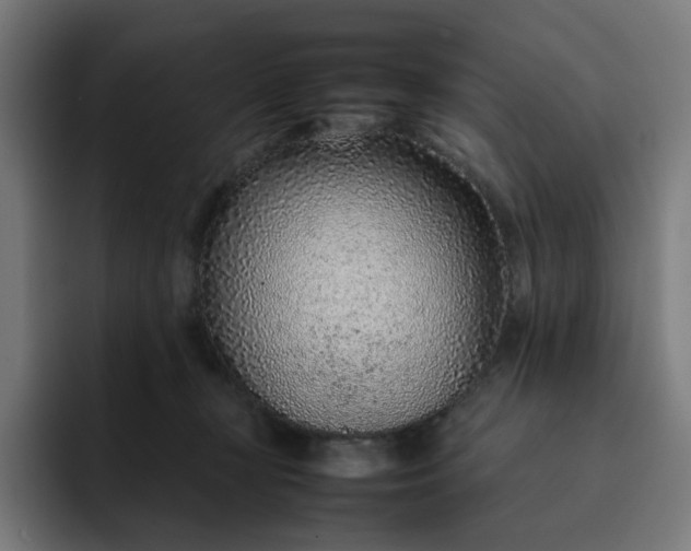 X0000093160367200710101158