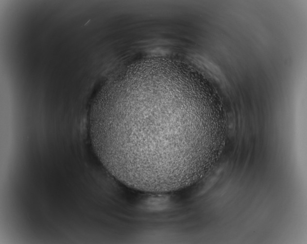 X0000093160369200710101158