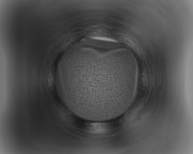 X0000093160371200710101158