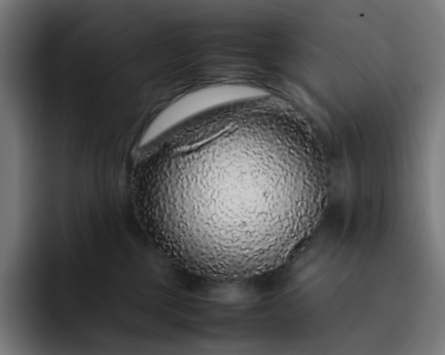 X0000093160377200710101158