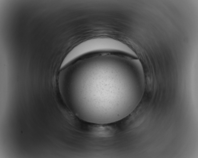 X0000093160379200710101158