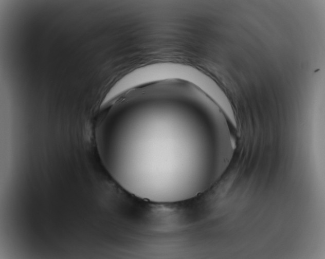 X0000093160380200710101158