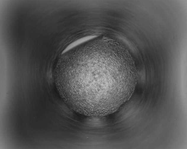 X0000093160381200710101158