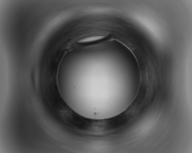 X0000093160382200710101158