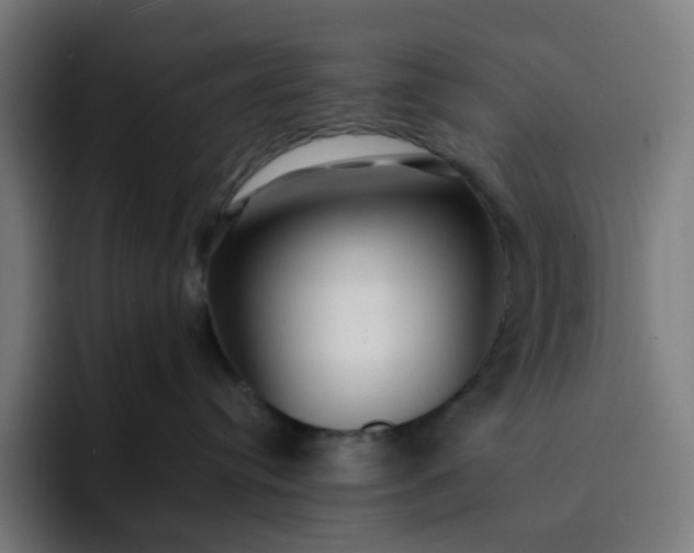 X0000093160384200710101158