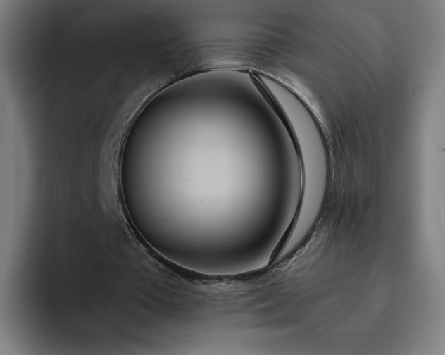 X0000093160385200710101158