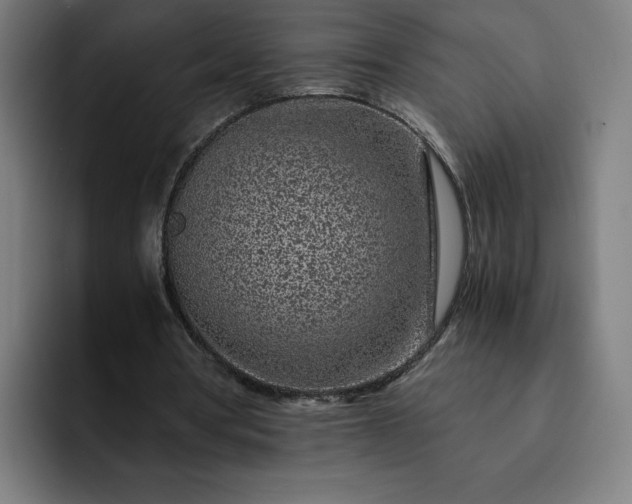 X0000093160386200710101158