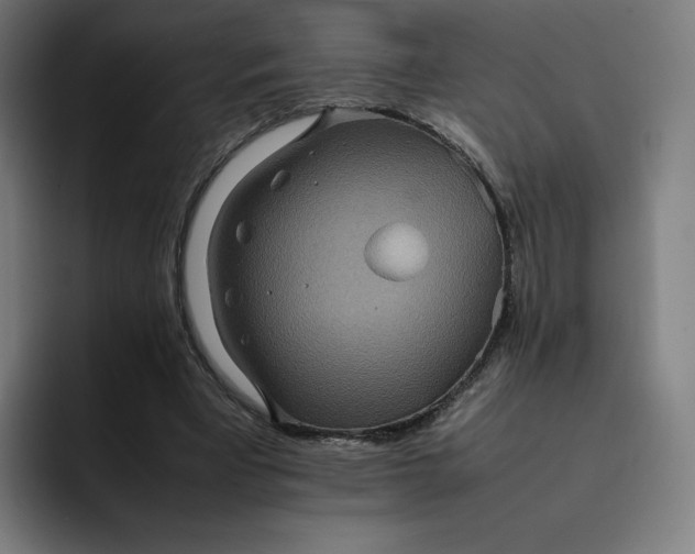 X0000093160393200710101158