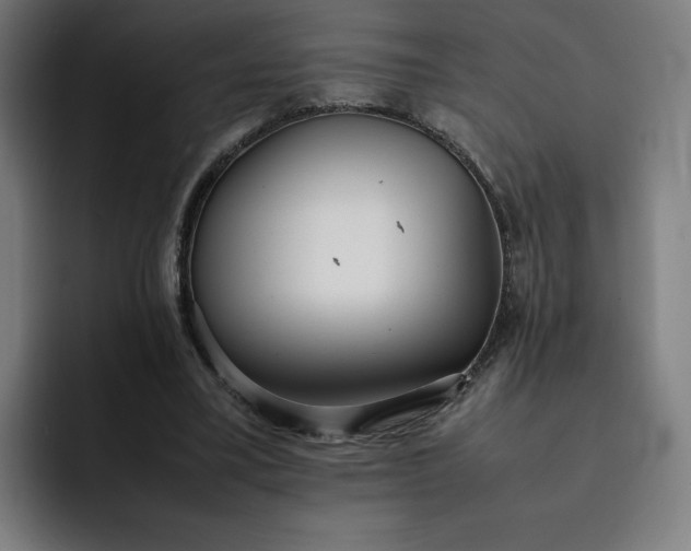 X0000093160395200710101158