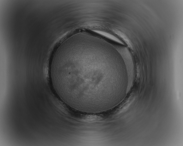 X0000093160399200710101158