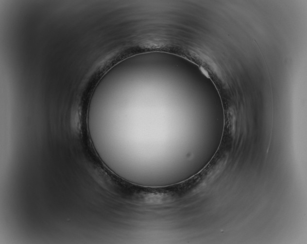 X0000093160400200710101158