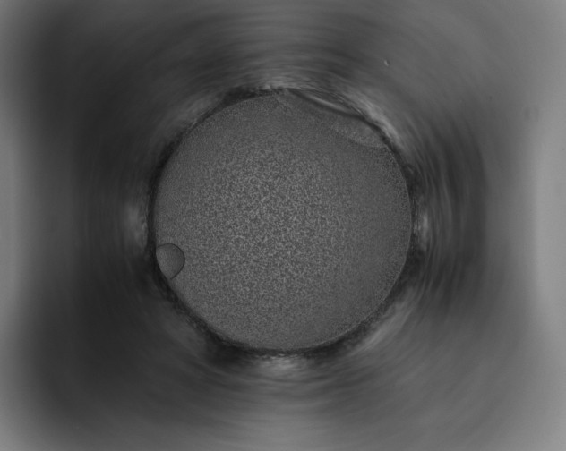 X0000093160402200710101158