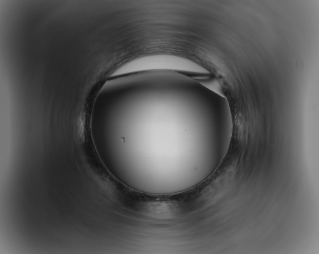 X0000093160404200710101158