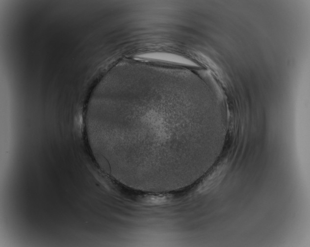 X0000093160405200710101157