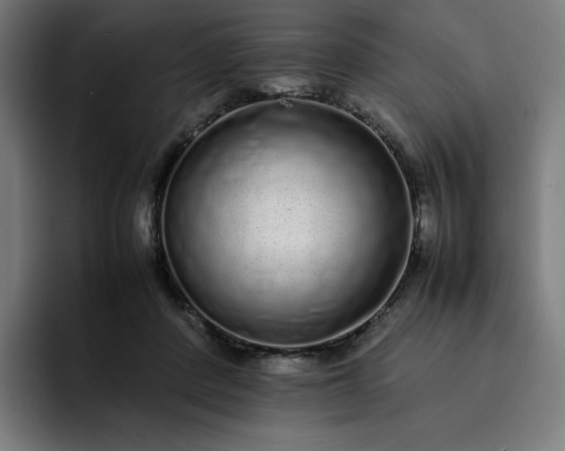 X0000093160408200710101157