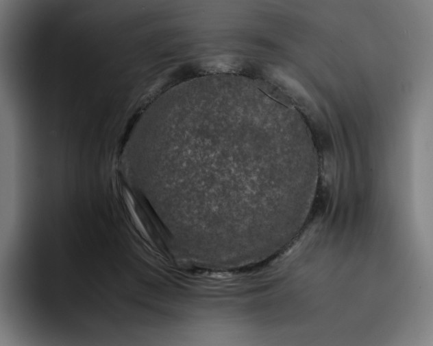 X0000093160409200710101157