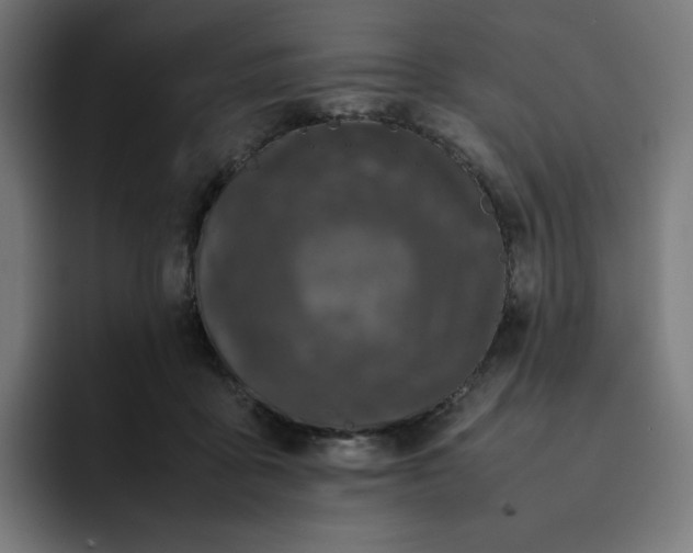 X0000093160411200710101157