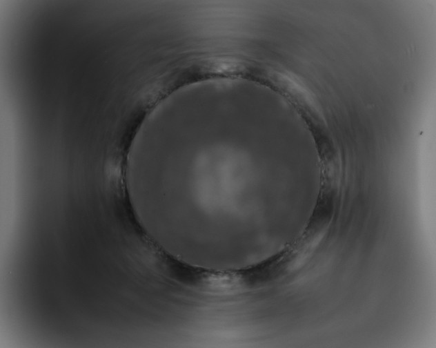 X0000093160415200710101157