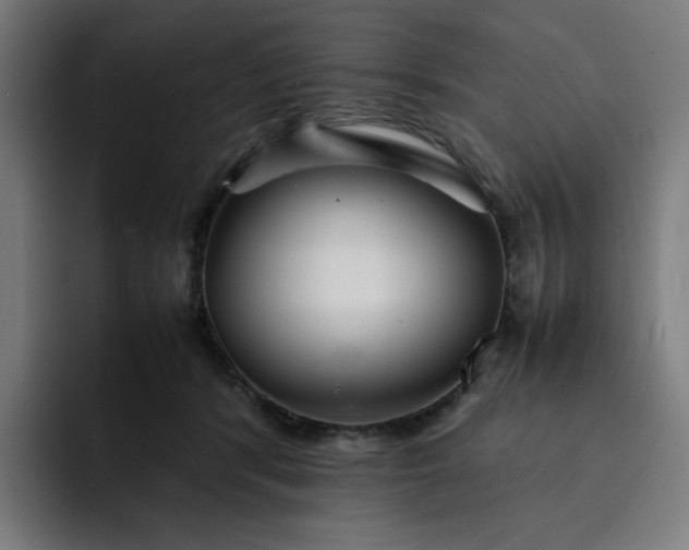 X0000093160416200710101157
