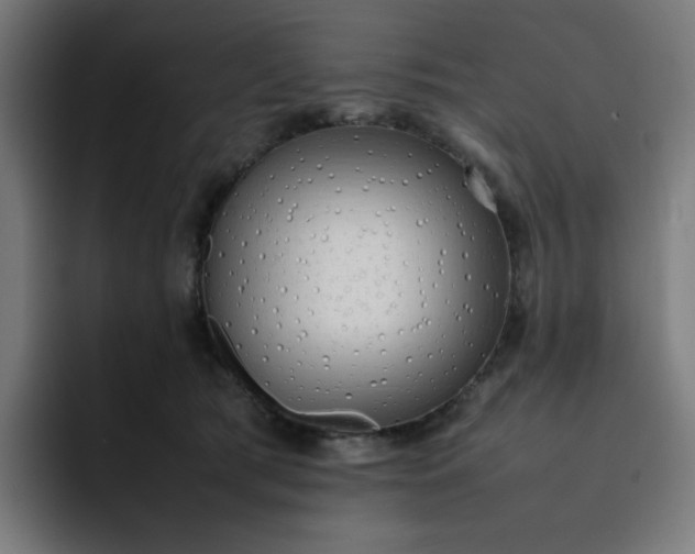 X0000093160417200710101157