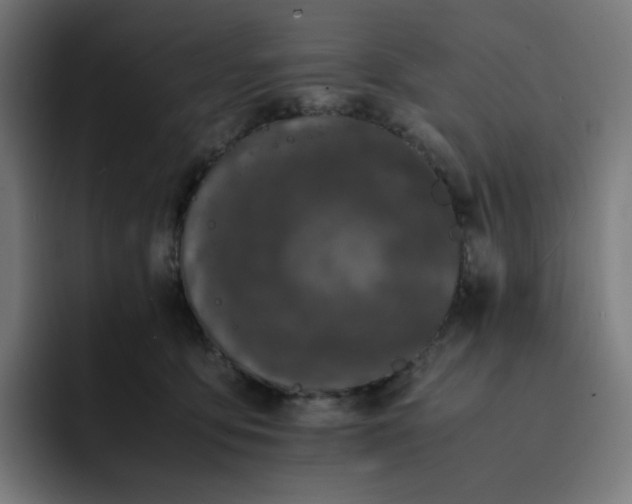 X0000093160419200710101157
