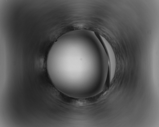 X0000093160420200710101157