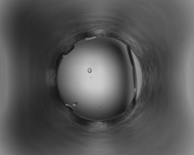 X0000093160421200710101157