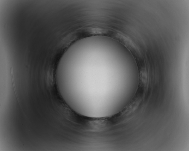 X0000093160422200710101157