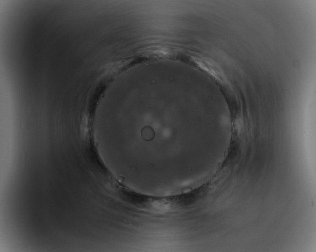 X0000093160423200710101157