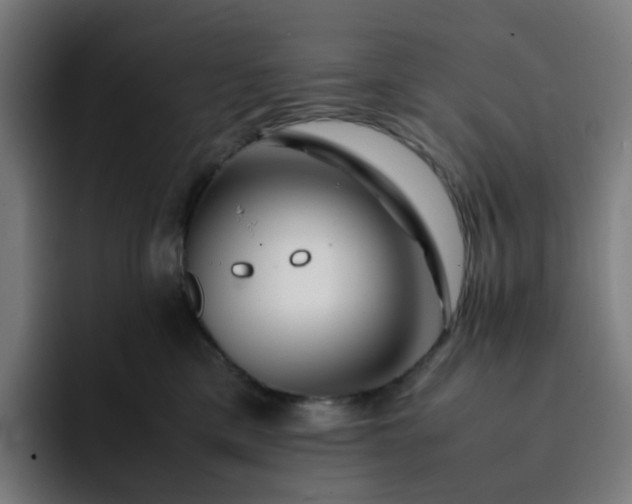 X0000093160425200710101157